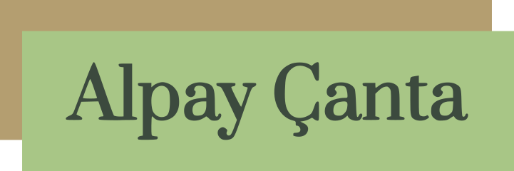 Certified English–Turkish Translator | Alpay Çanta